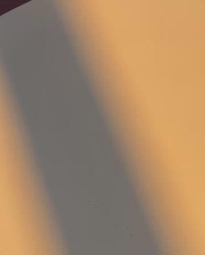 Limited Edition Christmas Giftbox